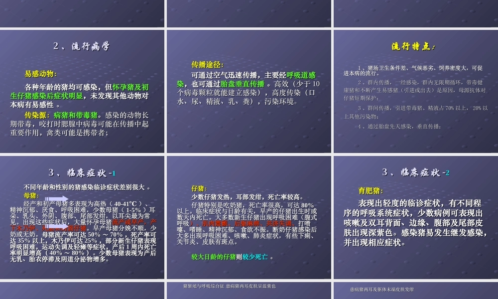 猪繁殖与呼吸综合征.ppt