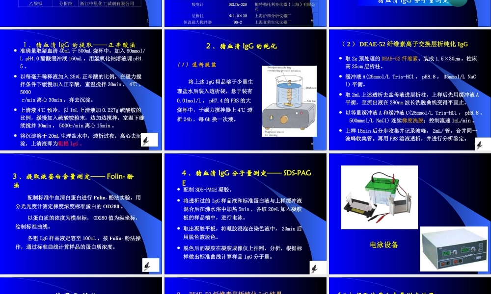猪血清IgG的分离纯化与鉴定.ppt