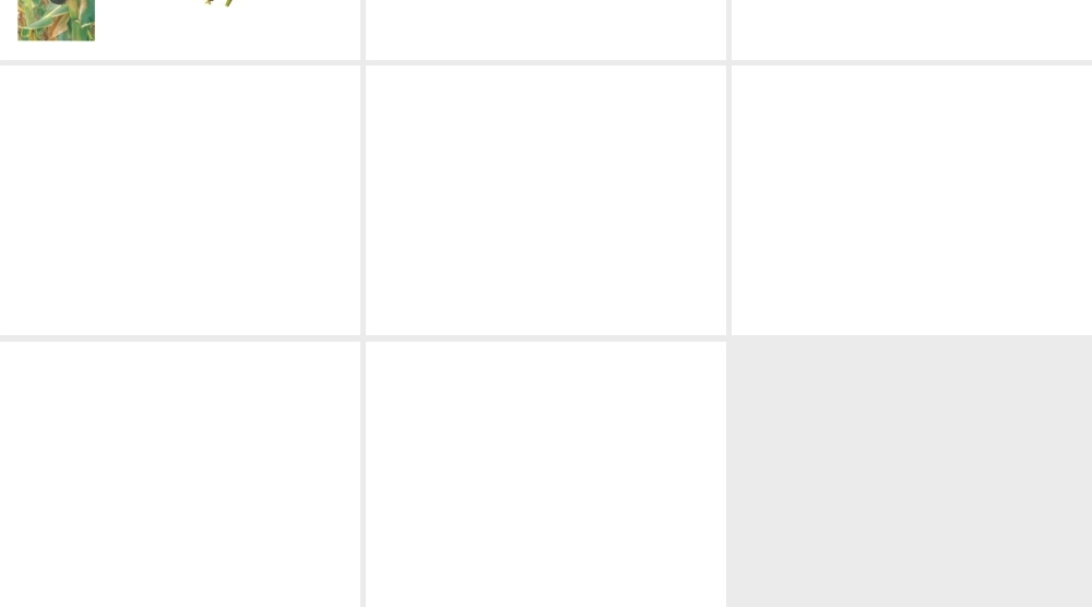 玉米病害图片.ppt