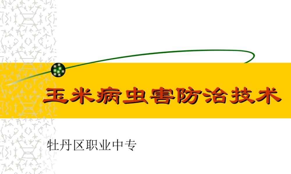 玉米病虫害防治(20081208修改)素材.ppt