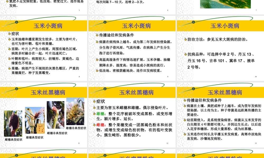 玉米病虫害防治(20081208修改)素材.ppt