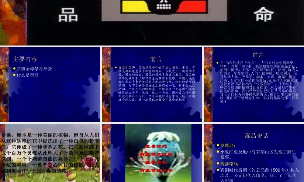 珍爱生命---拒绝毒品(短期)素材.ppt