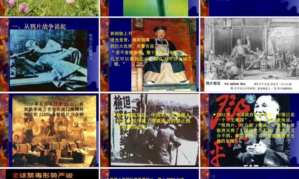 珍爱生命---拒绝毒品(短期)素材.ppt