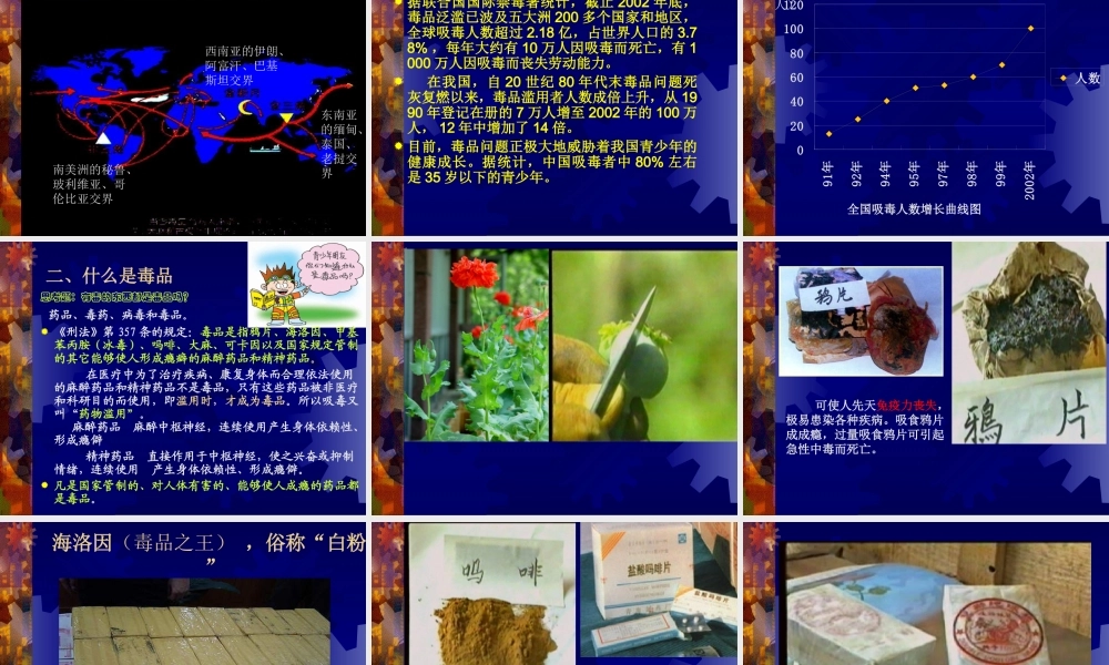 珍爱生命---拒绝毒品(短期)素材.ppt