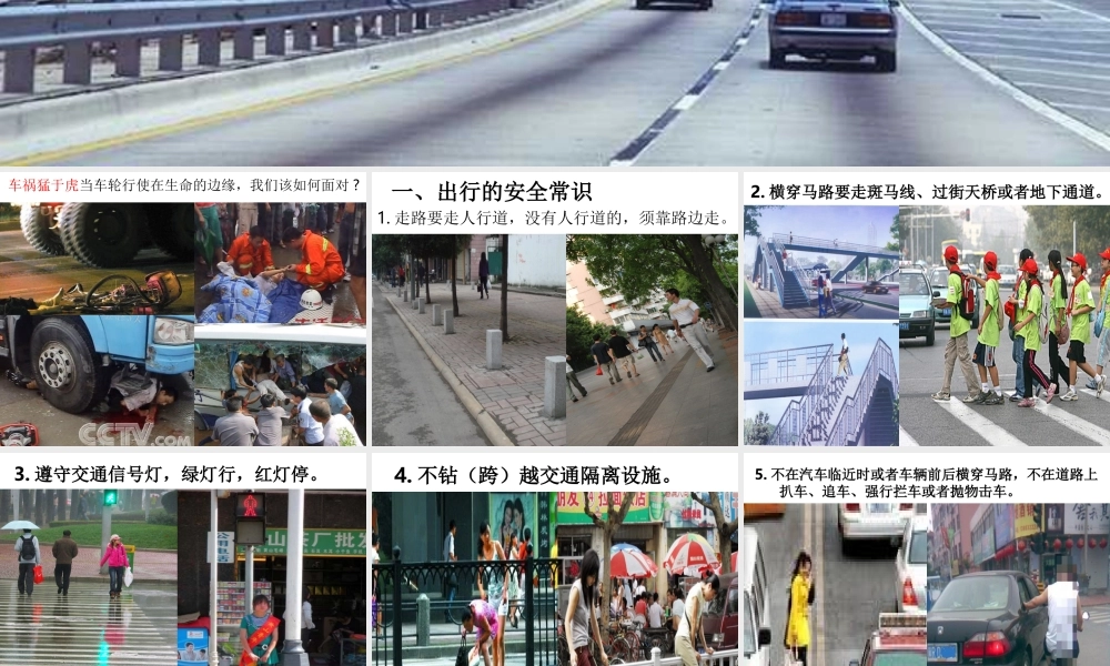 珍爱生命-平安出行四(2)中队.ppt