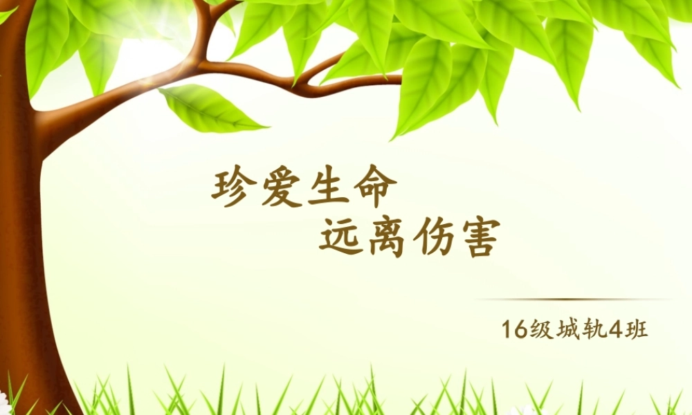 珍爱生命-远离伤害.ppt