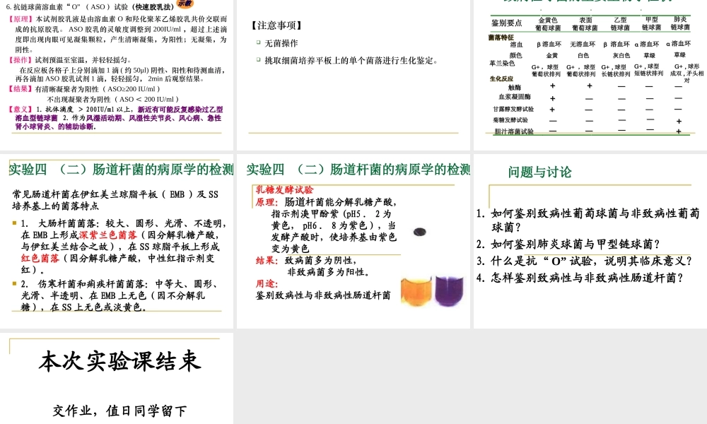 球菌和肠道杆菌病原学检测.ppt