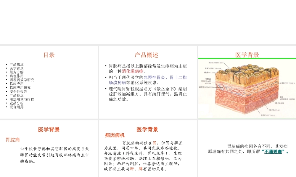 理气暖胃颗粒.ppt.ppt