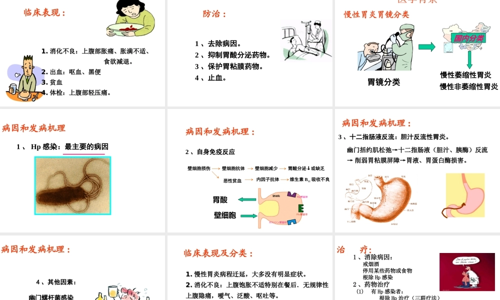 理气暖胃颗粒.ppt.ppt
