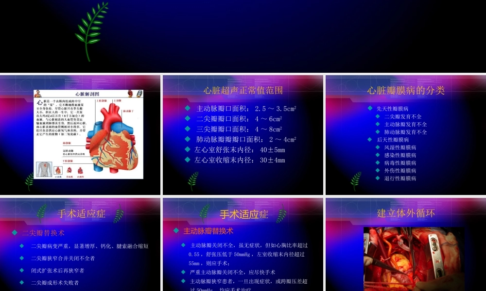 瓣膜替换术的术中配合.ppt