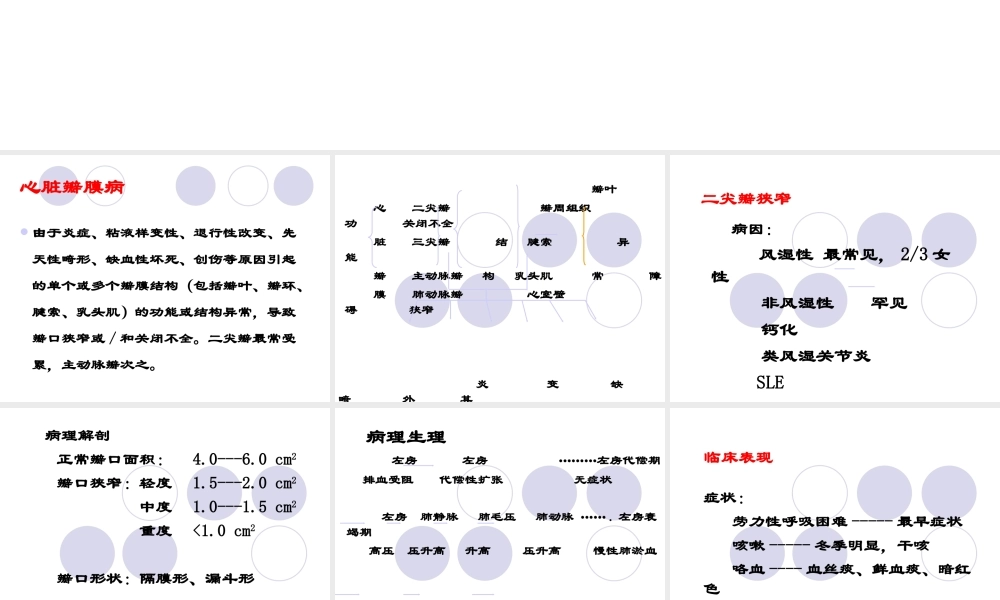 瓣膜病zhihong.ppt