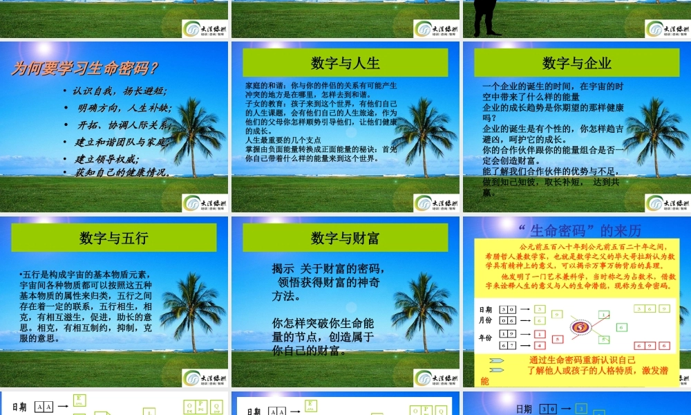生命密码-大漠绿洲完整版.ppt