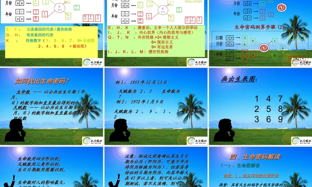 生命密码-大漠绿洲完整版.ppt
