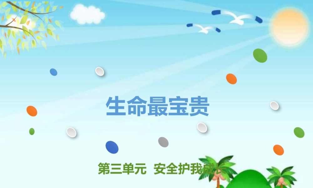 生命最宝贵.pptx