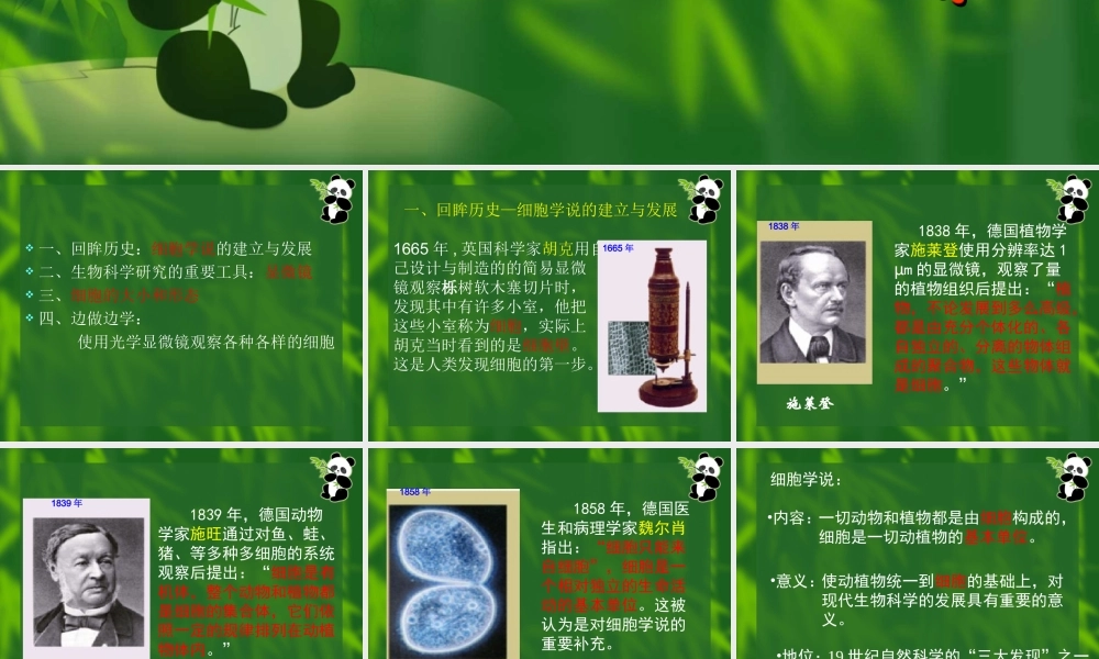 生命活动的基本单位——细胞.ppt