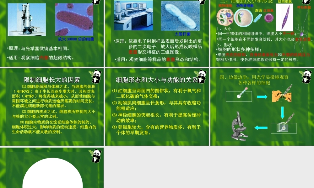 生命活动的基本单位——细胞.ppt