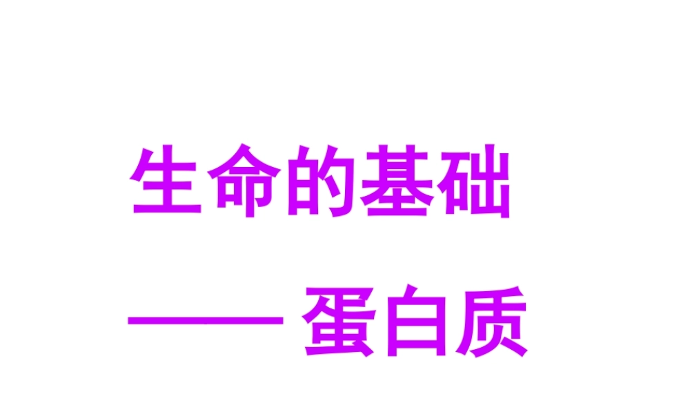 生命的基础——蛋白质.ppt