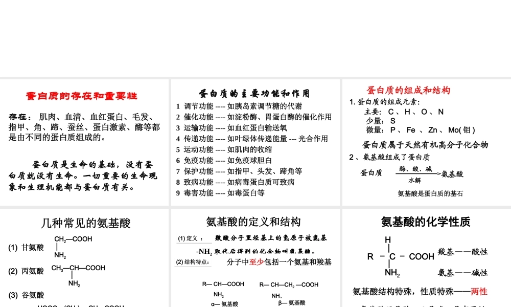 生命的基础——蛋白质.ppt