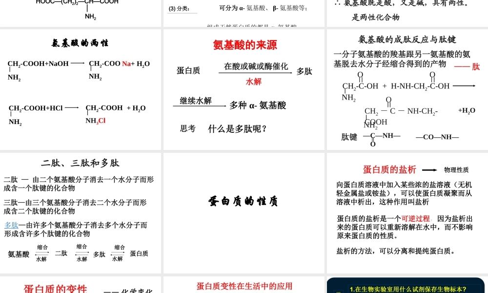 生命的基础——蛋白质.ppt