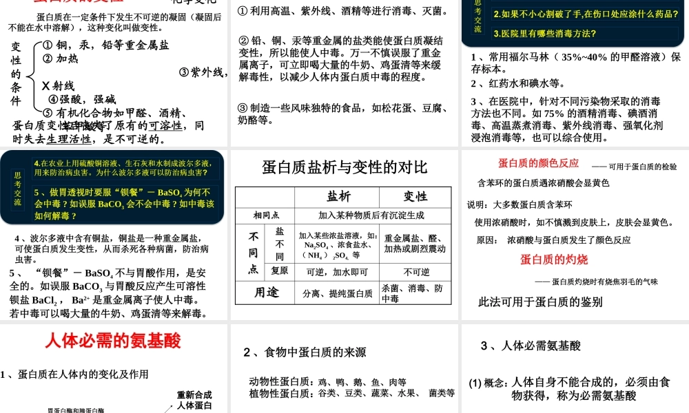 生命的基础——蛋白质.ppt