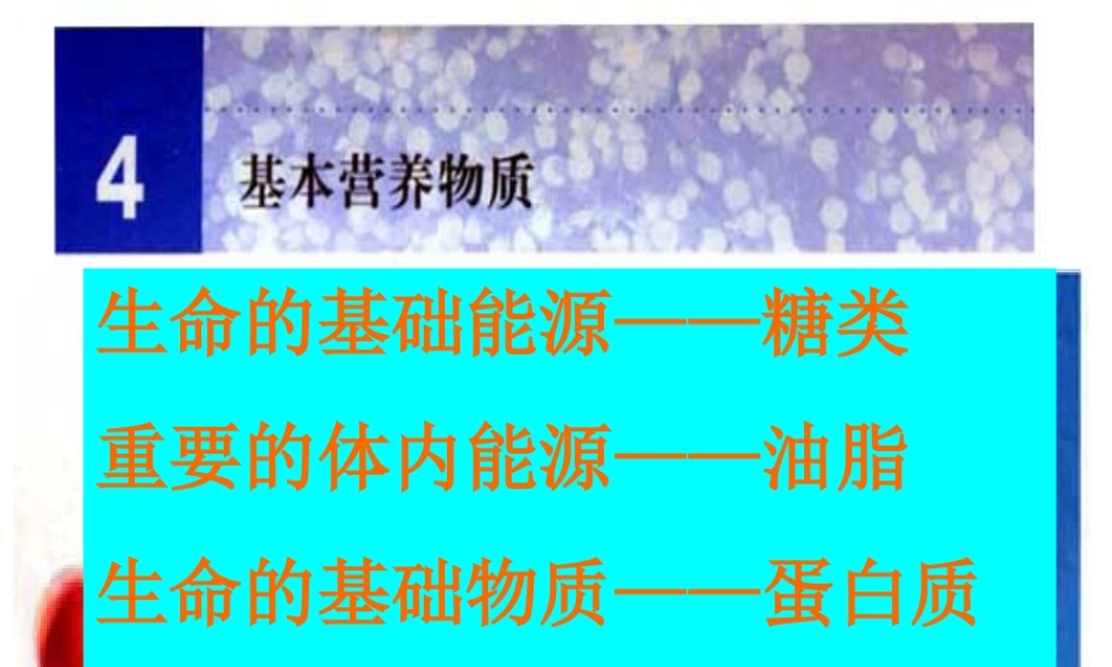 生命的基础物质.ppt