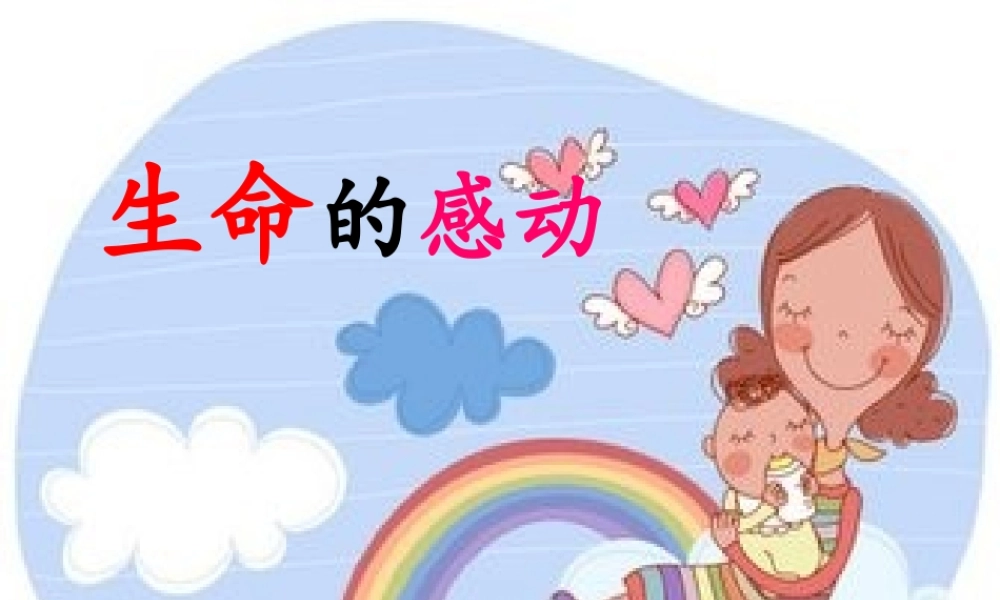 生命的感动.ppt