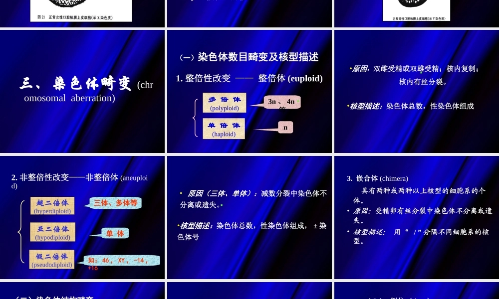 生命的遗传和变异.ppt