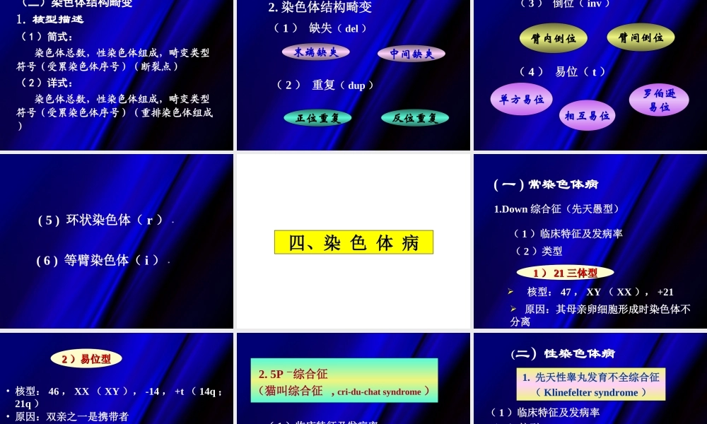 生命的遗传和变异.ppt