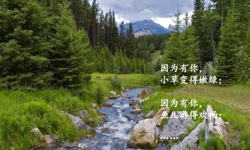 生命离不开水.ppt