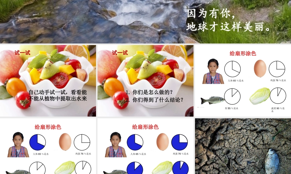 生命离不开水.ppt