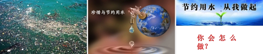 生命离不开水.ppt