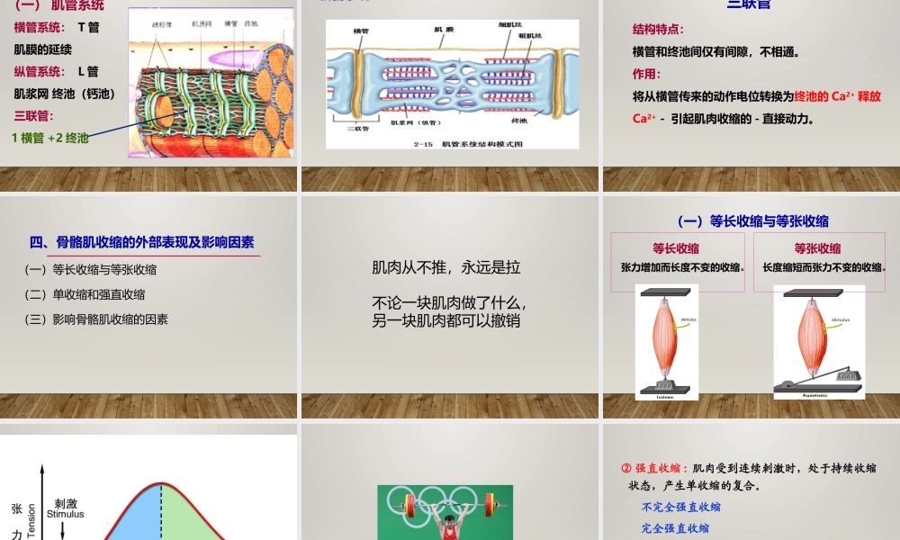 生理第5节细胞(4).ppt