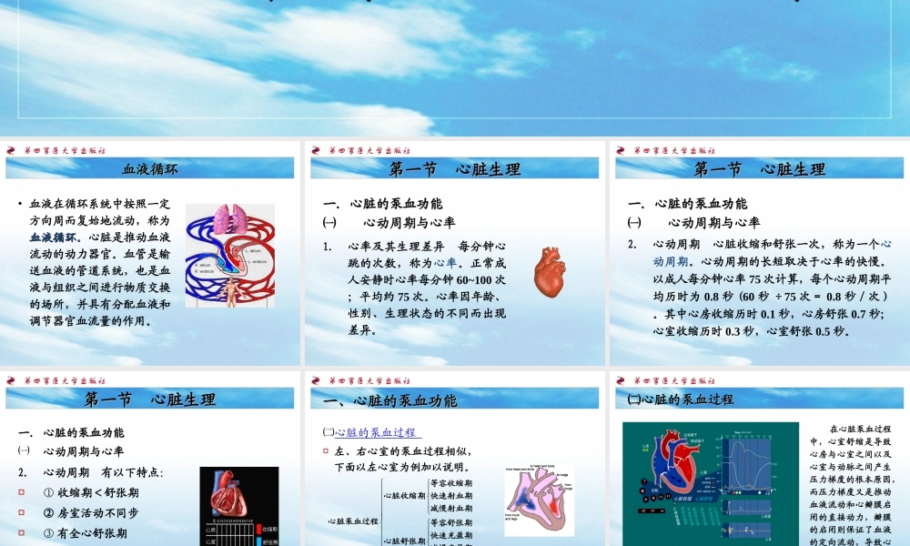 生理第四章--血液循环.ppt
