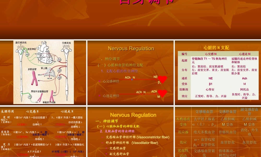 生理血液循环7.ppt