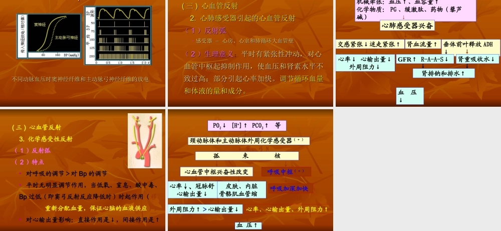 生理血液循环7.ppt