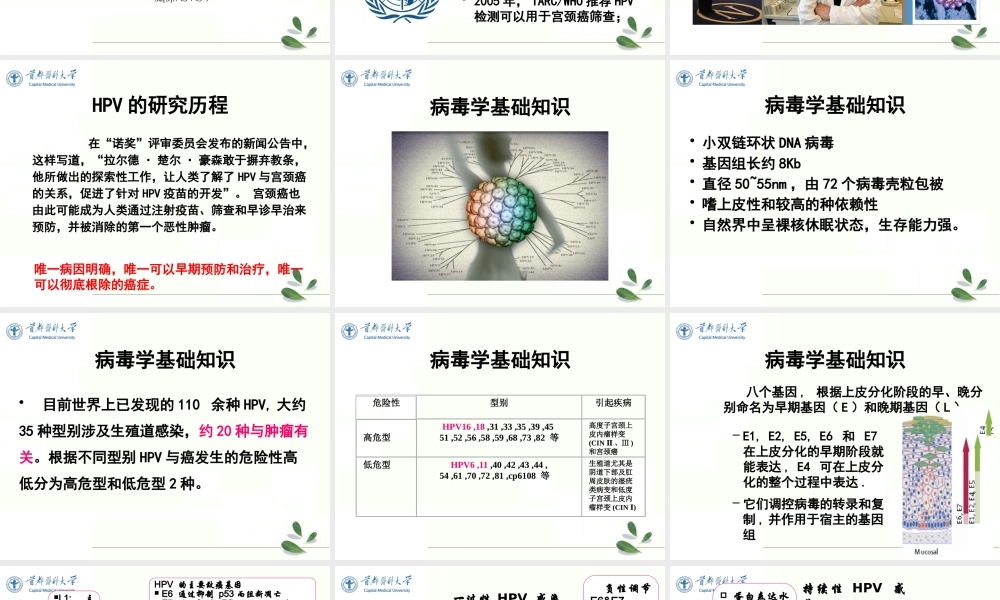 生育期女性HPV感染防治策略.pptx