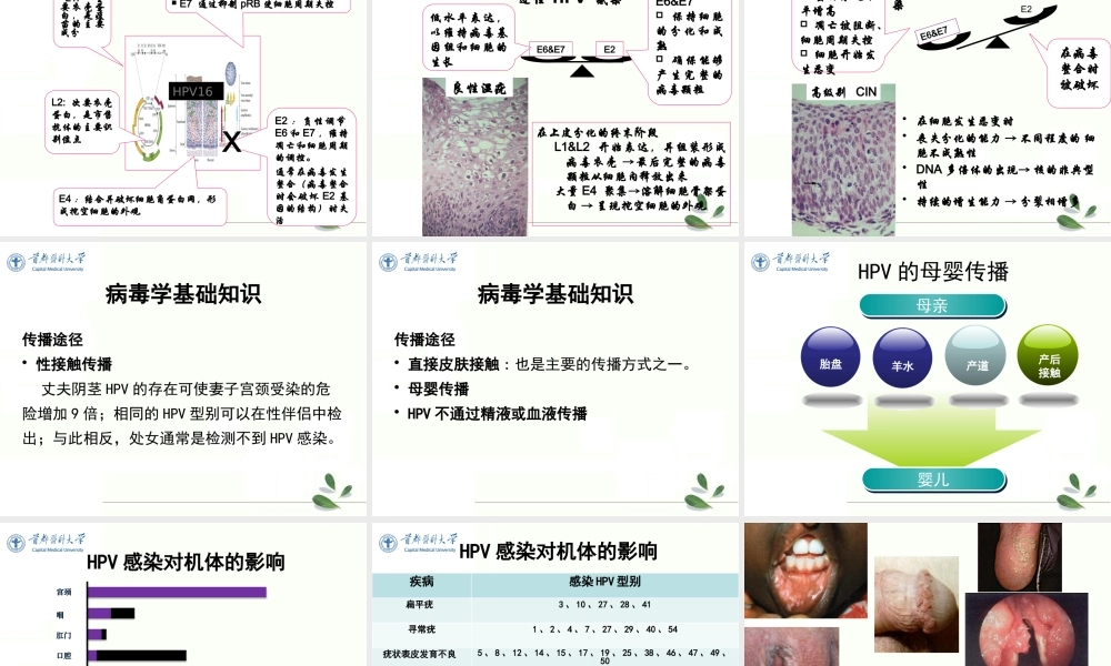 生育期女性HPV感染防治策略.pptx