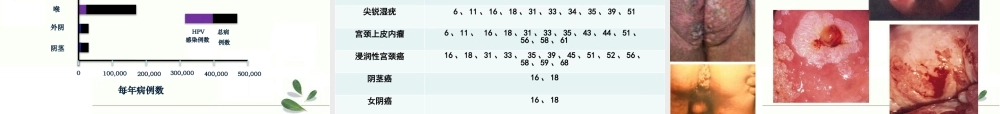 生育期女性HPV感染防治策略.pptx