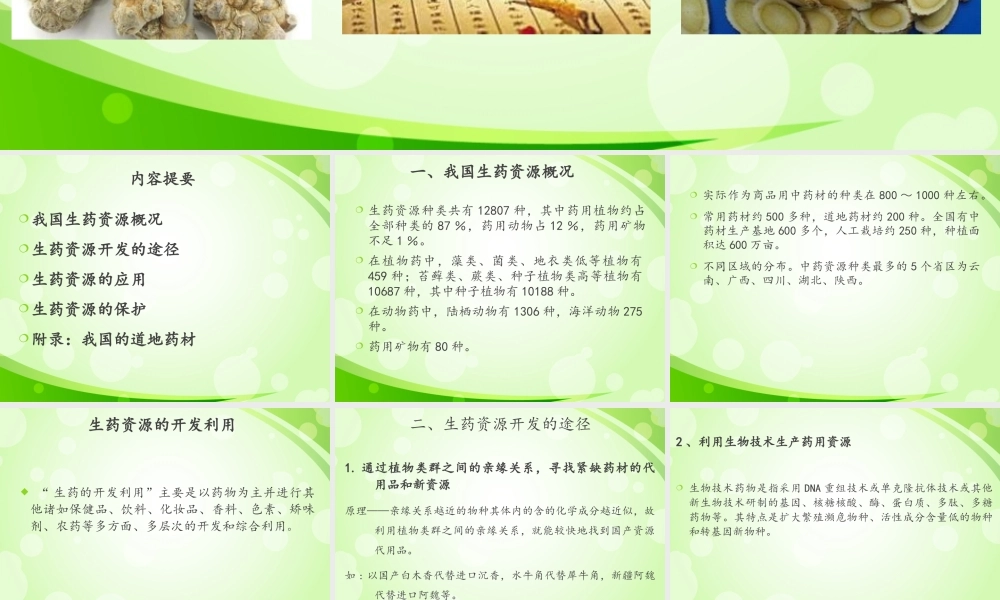 生药资源的开发利用.ppt