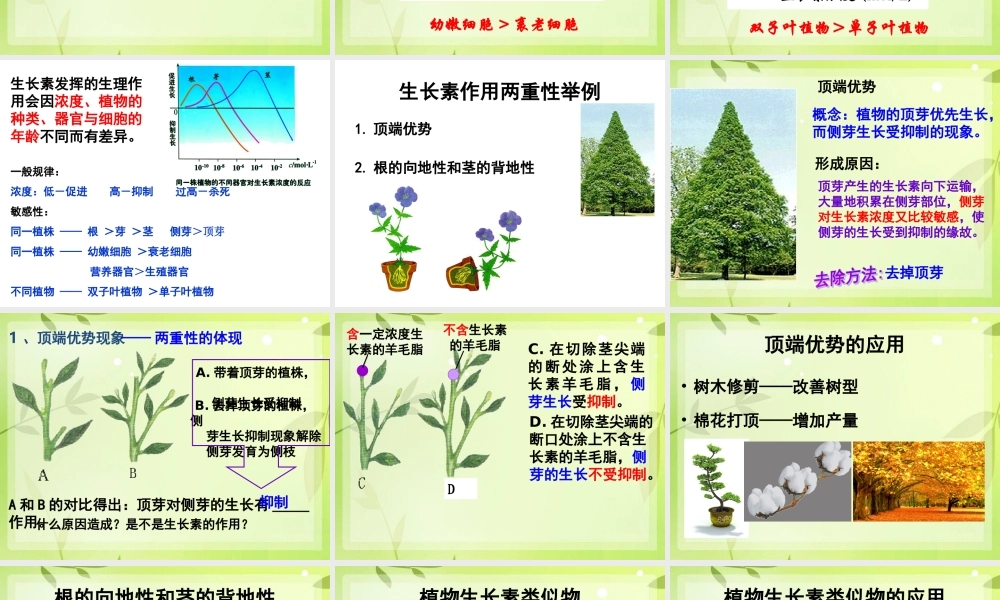 生长素的生理作用(2)...ppt