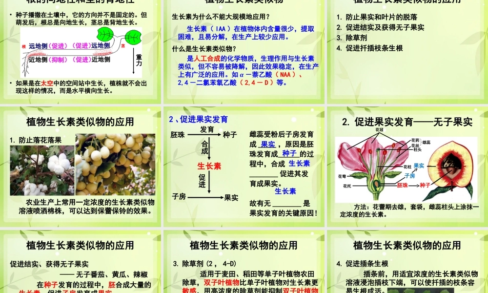 生长素的生理作用(2)...ppt