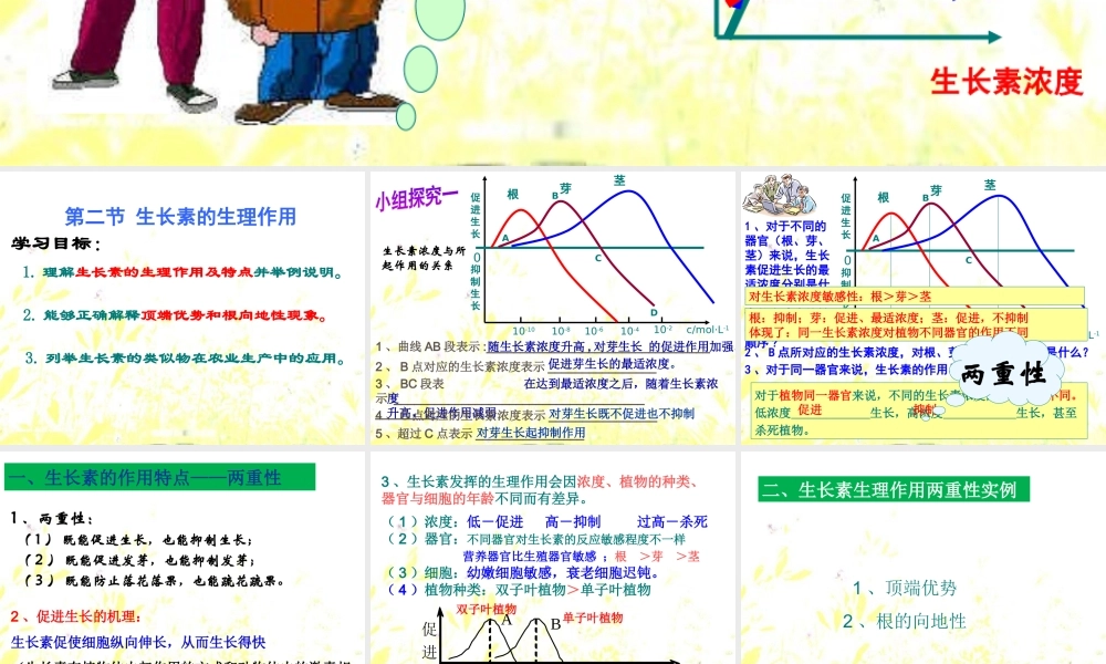 生长素生理作用.ppt