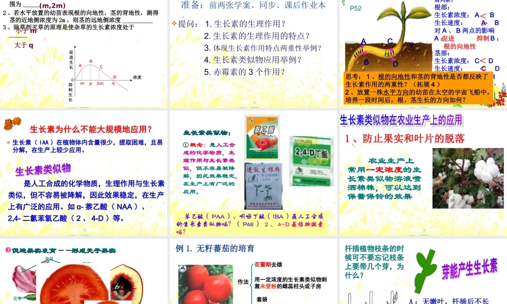 生长素生理作用.ppt