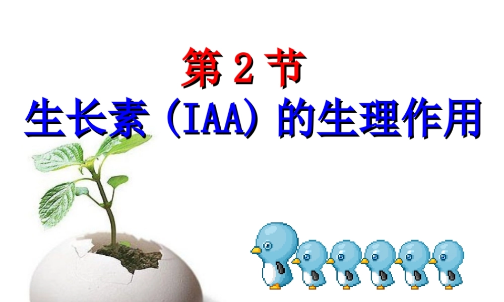 生长素的生理作用---副本.ppt