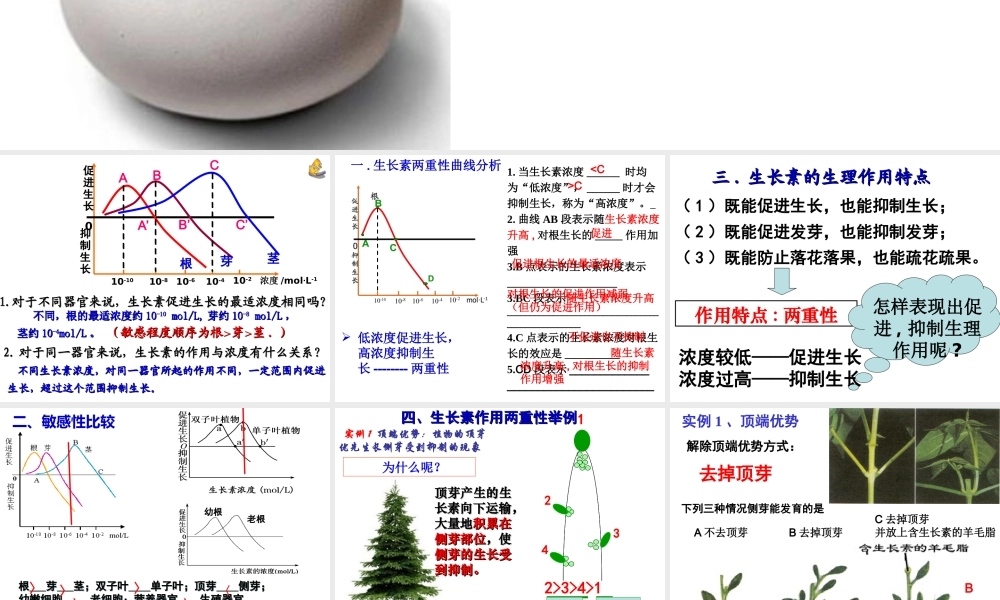 生长素的生理作用---副本.ppt