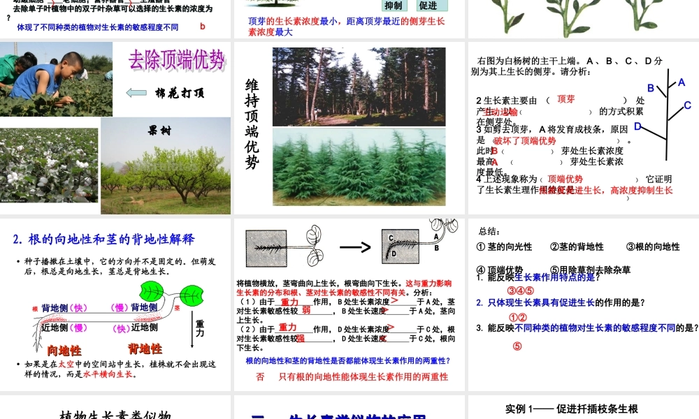 生长素的生理作用---副本.ppt