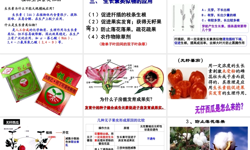 生长素的生理作用---副本.ppt