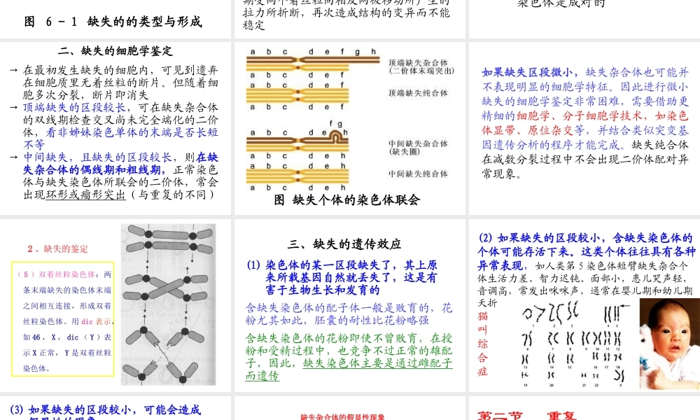 用体细胞杂交法克服甘薯组种间杂交不亲和性的研究.ppt