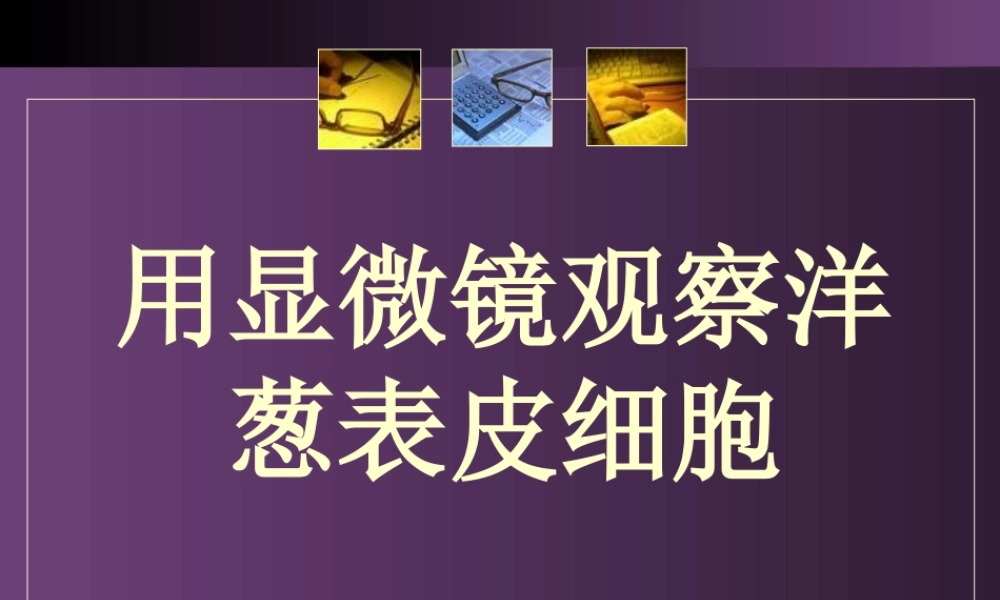 用显微镜观察洋葱表皮细胞.ppt