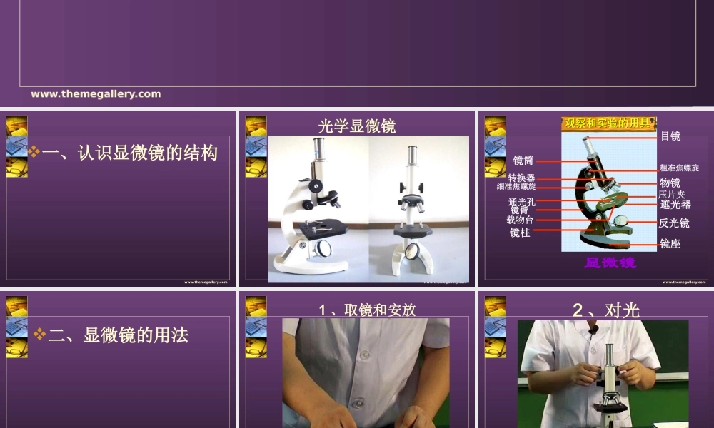 用显微镜观察洋葱表皮细胞.ppt